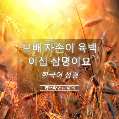 Picture 05 - 에스라 2:11 KOR - 브배 자손이 육백 이십 - Bible Verse Picture