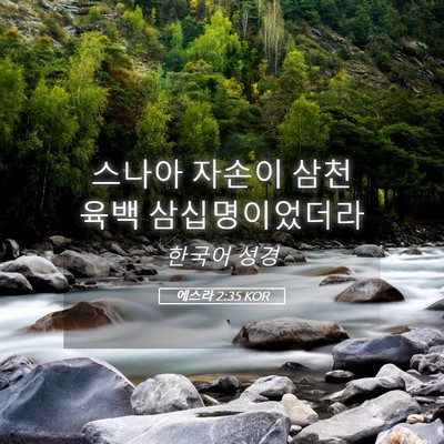 Picture 05 - 에스라 2:35 KOR - 스나아 자손이 삼천 육백 - Bible Verse Picture