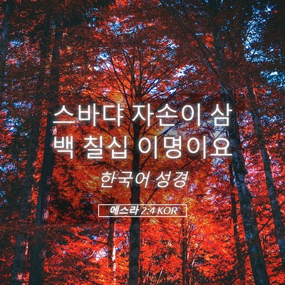 Picture 05 - 에스라 2:4 KOR - 스바댜 자손이 삼백 칠십 - Bible Verse Picture