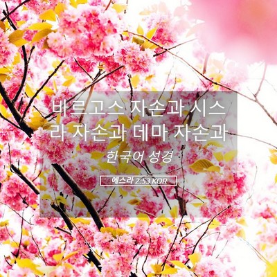 Picture 05 - 에스라 2:53 KOR - 바르고스 자손과 시스라 자손과 데마 - Bible Verse Picture
