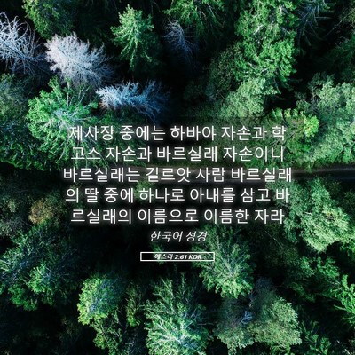 Picture 05 - 에스라 2:61 KOR - 제사장 중에는 하바야 자손과 학고스 - Bible Verse Picture