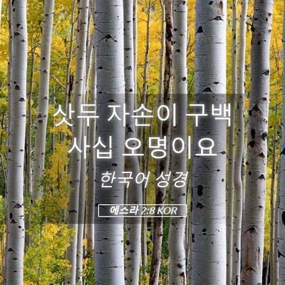 Picture 05 - 에스라 2:8 KOR - 삿두 자손이 구백 사십 - Bible Verse Picture
