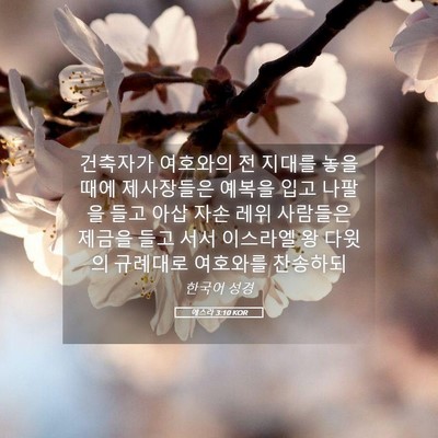 Picture 05 - 에스라 3:10 KOR - 건축자가 여호와의 전 지대를 놓을 - Bible Verse Picture