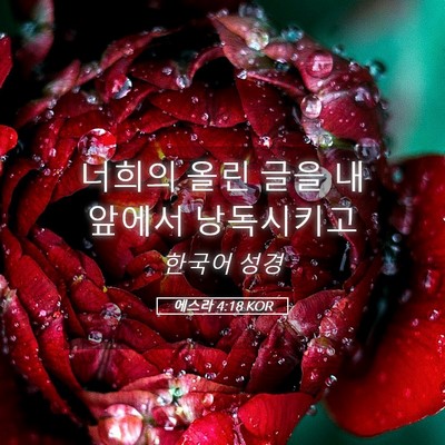 Picture 05 - 에스라 4:18 KOR - 너희의 올린 글을 내 앞에서 - Bible Verse Picture