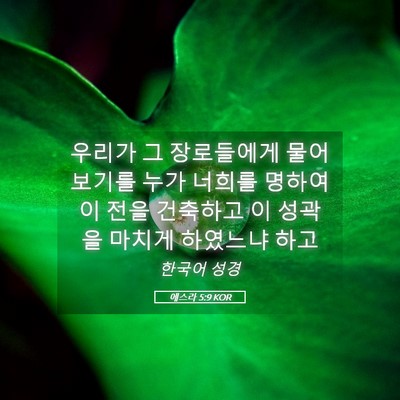 Picture 05 - 에스라 5:9 KOR - 우리가 그 장로들에게 물어 보기를 - Bible Verse Picture