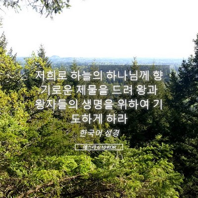 Picture 05 - 에스라 6:10 KOR - 저희로 하늘의 하나님께 향기로운 - Bible Verse Picture