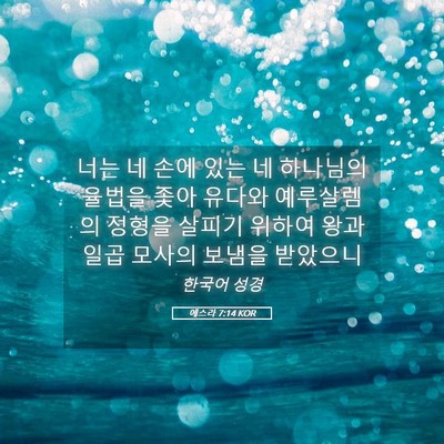 Picture 05 - 에스라 7:14 KOR - 너는 네 손에 있는 네 하나님의 - Bible Verse Picture