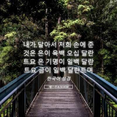 Picture 05 - 에스라 8:26 KOR - 내가 달아서 저희 손에 준 것은 은이 - Bible Verse Picture