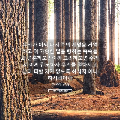 Picture 05 - 에스라 9:14 KOR - 우리가 어찌 다시 주의 계명을 - Bible Verse Picture