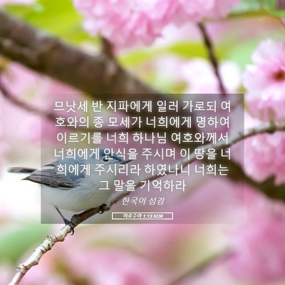 Picture 05 - 여호수아 1:13 KOR - 므낫세 반 지파에게 일러 가로되 - Bible Verse Picture