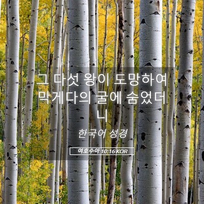 Picture 05 - 여호수아 10:16 KOR - 그 다섯 왕이 도망하여 막게다의 - Bible Verse Picture
