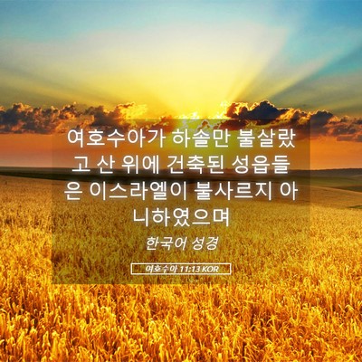 Picture 05 - 여호수아 11:13 KOR - 여호수아가 하솔만 불살랐고 산 위에 - Bible Verse Picture