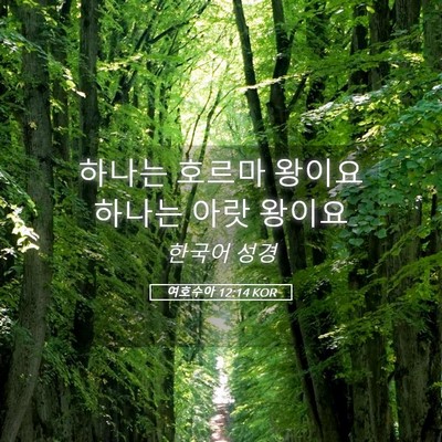 Picture 05 - 여호수아 12:14 KOR - 하나는 호르마 왕이요 하나는 아랏 - Bible Verse Picture