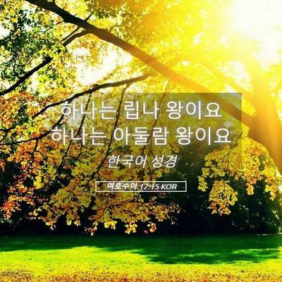 Picture 05 - 여호수아 12:15 KOR - 하나는 립나 왕이요 하나는 아둘람 - Bible Verse Picture