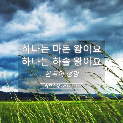 Picture 05 - 여호수아 12:19 KOR - 하나는 마돈 왕이요 하나는 하솔 - Bible Verse Picture