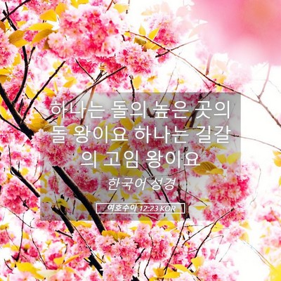 Picture 05 - 여호수아 12:23 KOR - 하나는 돌의 높은 곳의 돌 왕이요 - Bible Verse Picture