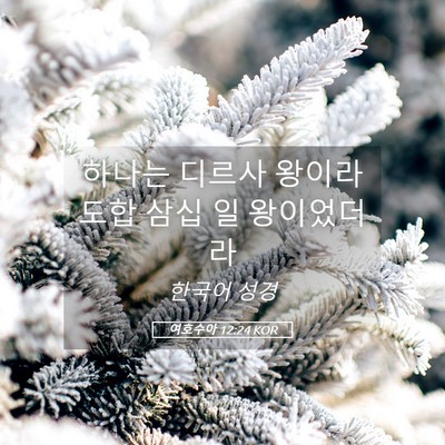 Picture 05 - 여호수아 12:24 KOR - 하나는 디르사 왕이라 도합 삼십 일 - Bible Verse Picture
