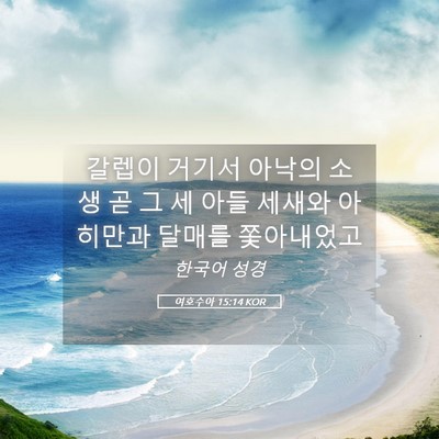 Picture 05 - 여호수아 15:14 KOR - 갈렙이 거기서 아낙의 소생 곧 그 세 - Bible Verse Picture