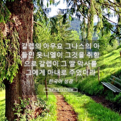 Picture 05 - 여호수아 15:17 KOR - 갈렙의 아우요 그나스의 아들인 - Bible Verse Picture