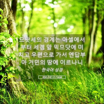 Picture 05 - 여호수아 17:7 KOR - 므낫세의 경계는 아셀에서부터 세겜 - Bible Verse Picture