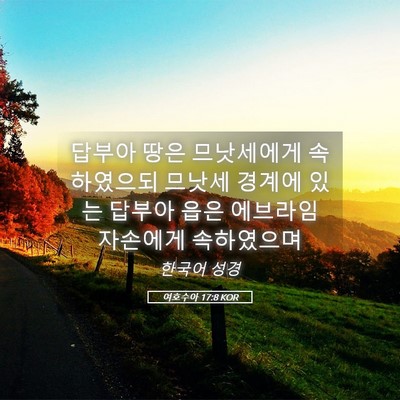 Picture 05 - 여호수아 17:8 KOR - 답부아 땅은 므낫세에게 속하였으되 - Bible Verse Picture