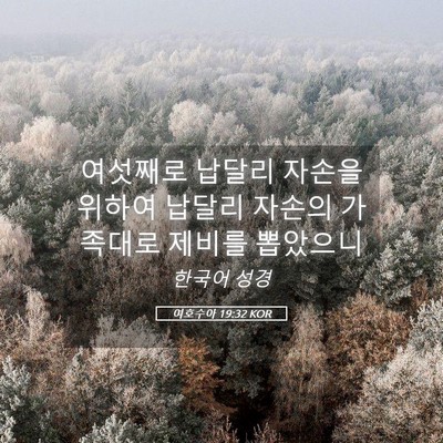 Picture 05 - 여호수아 19:32 KOR - 여섯째로 납달리 자손을 위하여 - Bible Verse Picture