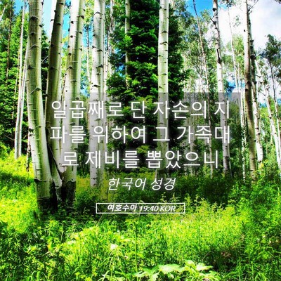Picture 05 - 여호수아 19:40 KOR - 일곱째로 단 자손의 지파를 위하여 - Bible Verse Picture