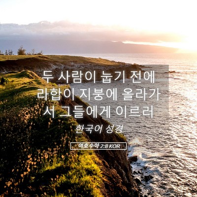 Picture 05 - 여호수아 2:8 KOR - 두 사람이 눕기 전에 라합이 지붕에 - Bible Verse Picture