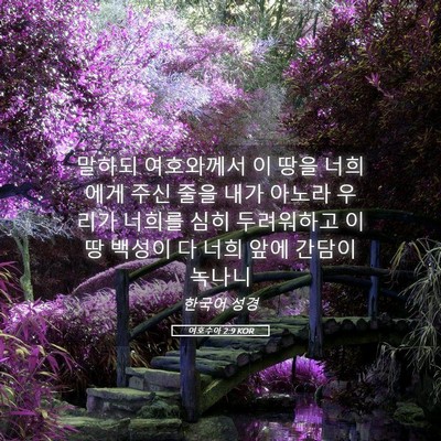Picture 05 - 여호수아 2:9 KOR - 말하되 여호와께서 이 땅을 너희에게 - Bible Verse Picture