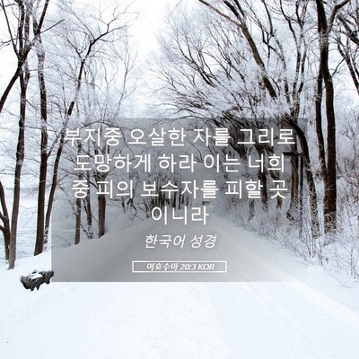 Picture 05 - 여호수아 20:3 KOR - 부지중 오살한 자를 그리로 도망하게 - Bible Verse Picture