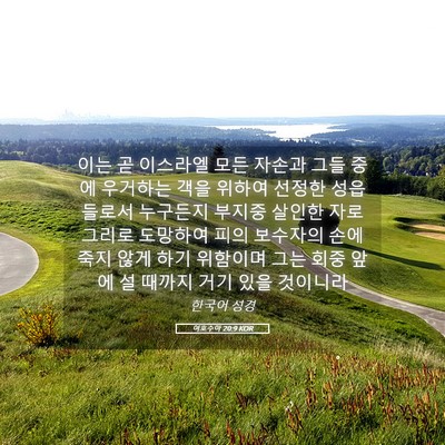 Picture 05 - 여호수아 20:9 KOR - 이는 곧 이스라엘 모든 자손과 그들 - Bible Verse Picture