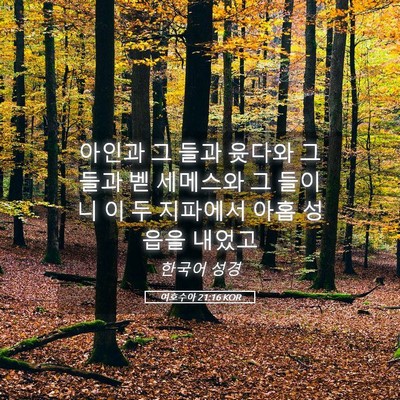 Picture 05 - 여호수아 21:16 KOR - 아인과 그 들과 윳다와 그 들과 벧 - Bible Verse Picture
