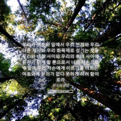 Picture 05 - 여호수아 22:27 KOR - 우리가 여호와 앞에서 우리 번제와 - Bible Verse Picture