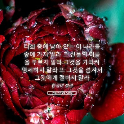 Picture 05 - 여호수아 23:7 KOR - 너희 중에 남아 있는 이 나라들 중에 - Bible Verse Picture