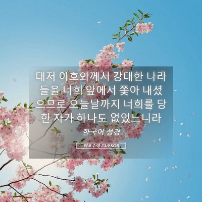 Picture 05 - 여호수아 23:9 KOR - 대저 여호와께서 강대한 나라들을 - Bible Verse Picture