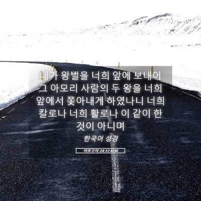 Picture 05 - 여호수아 24:12 KOR - 내가 왕벌을 너희 앞에 보내어 그 - Bible Verse Picture