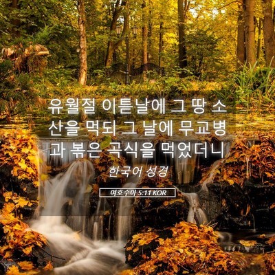 Picture 05 - 여호수아 5:11 KOR - 유월절 이튿날에 그 땅 소산을 먹되 - Bible Verse Picture