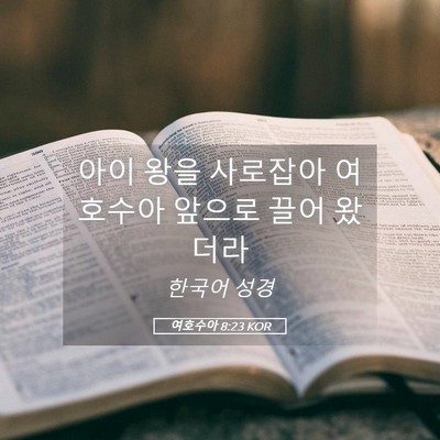 Picture 05 - 여호수아 8:23 KOR - 아이 왕을 사로잡아 여호수아 앞으로 - Bible Verse Picture