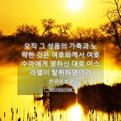 Picture 05 - 여호수아 8:27 KOR - 오직 그 성읍의 가축과 노략한 것은 - Bible Verse Picture
