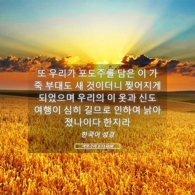 Picture 05 - 여호수아 9:13 KOR - 또 우리가 포도주를 담은 이 가죽 - Bible Verse Picture