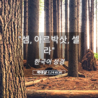 Picture 05 - 역대상 1:24 KOR - 