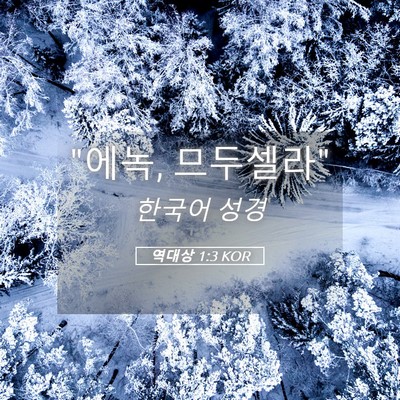 Picture 05 - 역대상 1:3 KOR - 