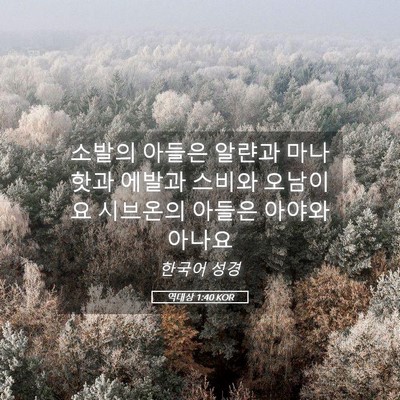 Picture 05 - 역대상 1:40 KOR - 소발의 아들은 알랸과 마나핫과 - Bible Verse Picture