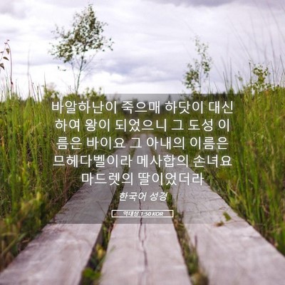 Picture 05 - 역대상 1:50 KOR - 바알하난이 죽으매 하닷이 대신하여 - Bible Verse Picture