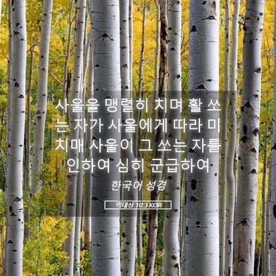 Picture 05 - 역대상 10:3 KOR - 사울을 맹렬히 치며 활 쏘는 자가 - Bible Verse Picture