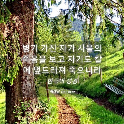 Picture 05 - 역대상 10:5 KOR - 병기 가진 자가 사울의 죽음을 보고 - Bible Verse Picture