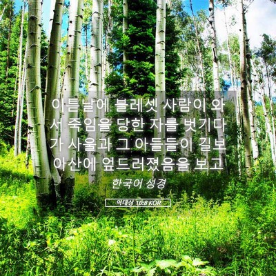 Picture 05 - 역대상 10:8 KOR - 이튿날에 블레셋 사람이 와서 죽임을 - Bible Verse Picture