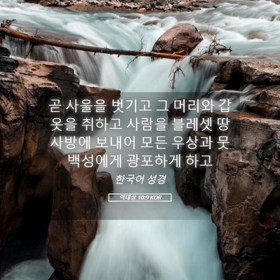 Picture 05 - 역대상 10:9 KOR - 곧 사울을 벗기고 그 머리와 갑옷을 - Bible Verse Picture