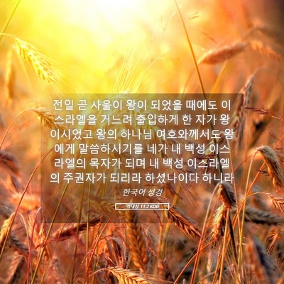 Picture 05 - 역대상 11:2 KOR - 전일 곧 사울이 왕이 되었을 때에도 - Bible Verse Picture