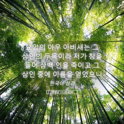 Picture 05 - 역대상 11:20 KOR - 요압의 아우 아비새는 그 삼인의 - Bible Verse Picture